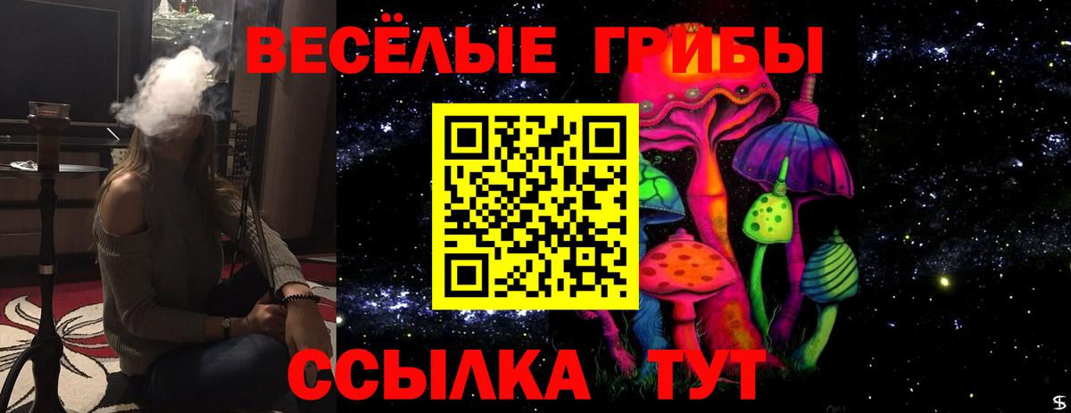 Павловский Посад  Галлюциногенные грибы мицелий  Вход с VPN 